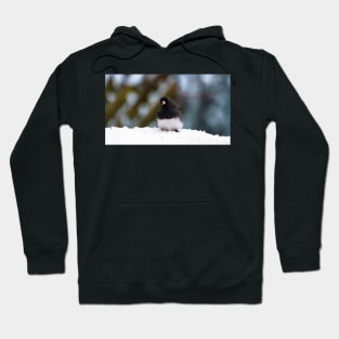 Dark-eyed Junco In The Snow Hoodie